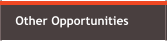 Other Opportunities